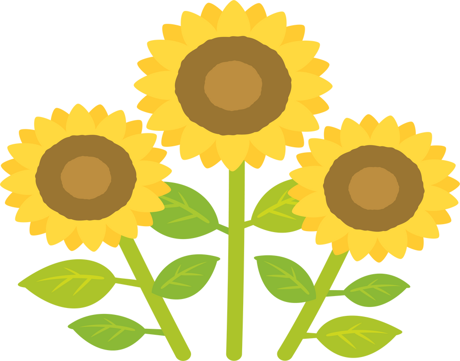 Yellow Sunflowers Illustration